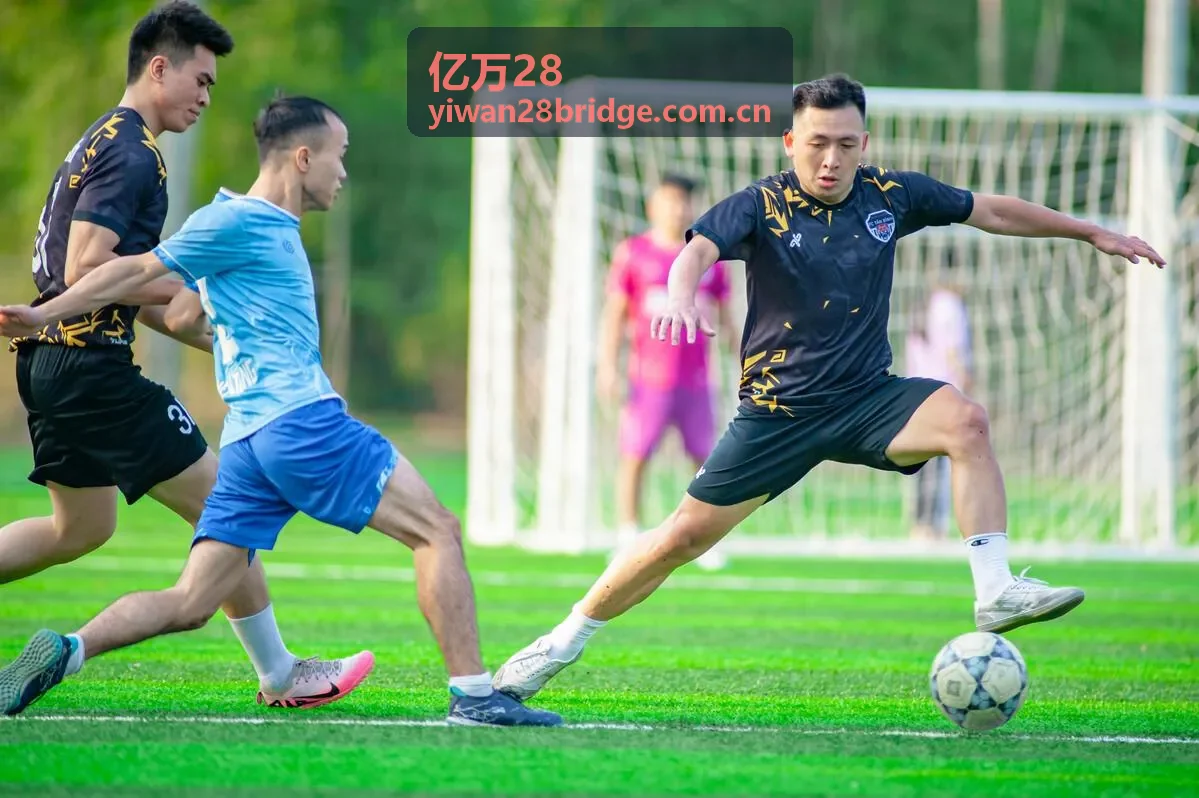 亿万28服务入口操作指引